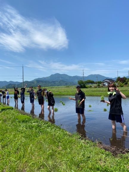 田植え1