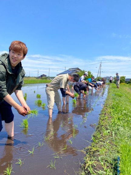 田植え3