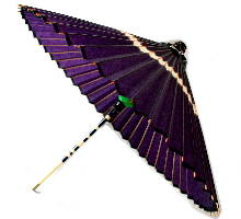 写真「蛇の目傘（亀甲紋、紫）2」