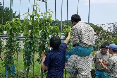 男子生徒の作業