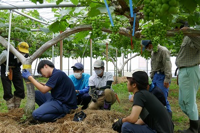 現場での説明の様子