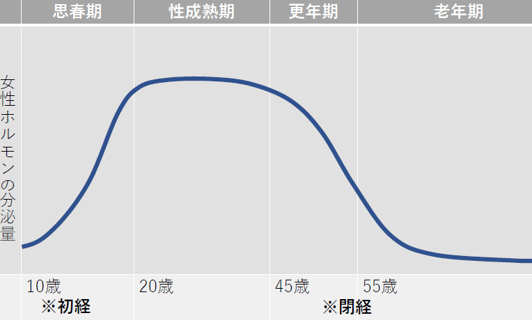 女性ホルモンの変化