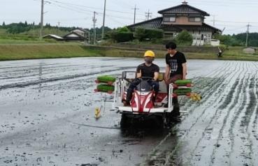 田植