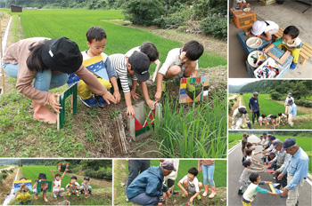 田んぼダムの取り組みを体験する子どもたちの写真