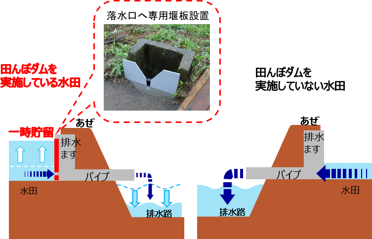 田んぼダムイメージ図