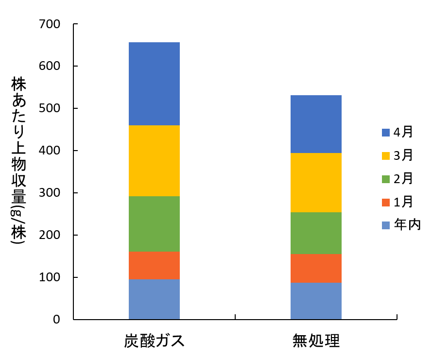 炭酸ガス施用による増収効果