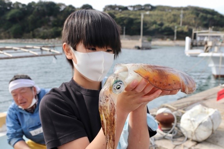 漁港で漁師の「網上げ作業」のお手伝い