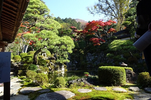 紅葉の庭園