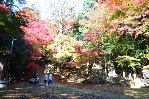 紅葉の諏訪神社境内
