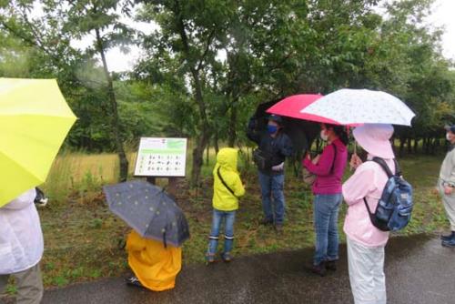 むきばんだの森観察会