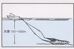 沖合底びき網操業図