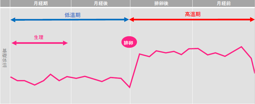 基礎体温イメージ