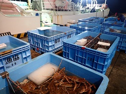 sakai2