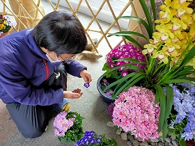 水鉢装飾