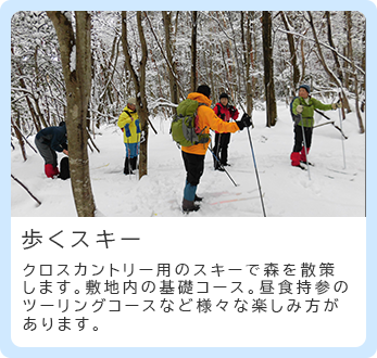 歩くスキー