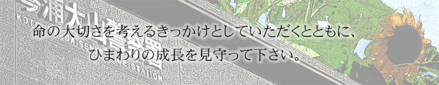 令和４年４月13日～土起こし