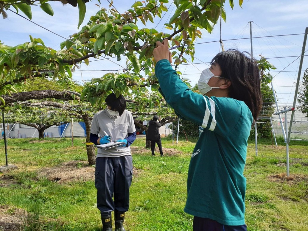 実止まり調査