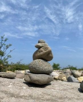中部４