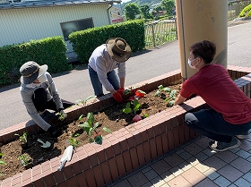 苗植え付け作業