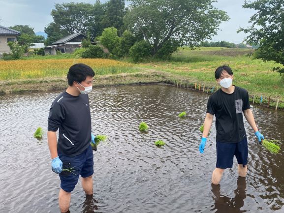 たのしそうに笑い合いながら手植えをおこなっている生徒