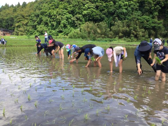 小学生に手植えの仕方を教える専攻生