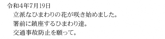 令和４年７月19日～咲きました！