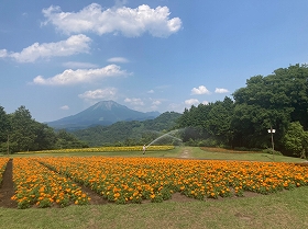 花の丘2