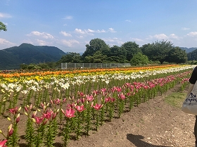 秘密の花園２