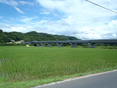 浦富工区令和4年7月の様子3