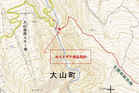 発見場所の地図