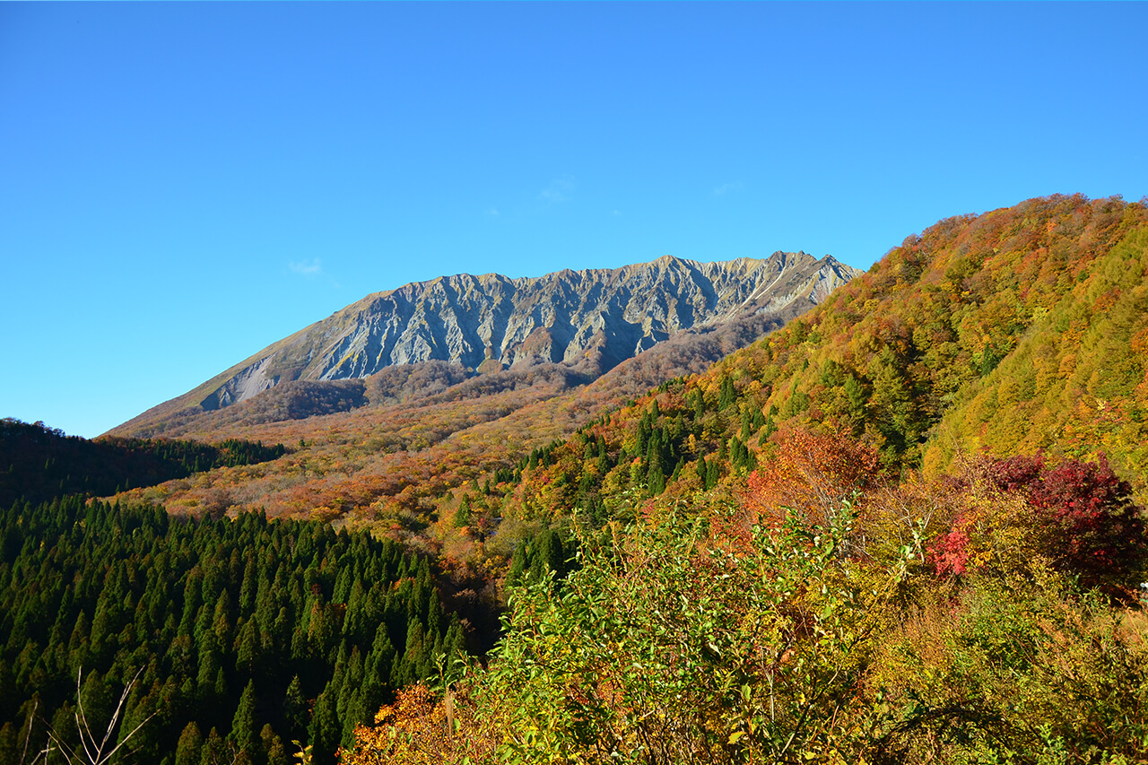 大山の紅葉の写真