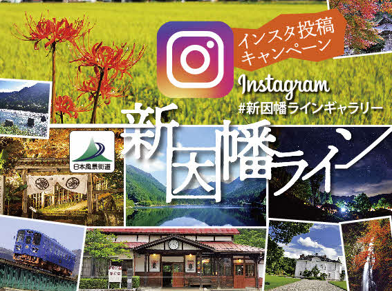 インスタキャンペーンアイコン