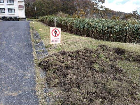 いのししが荒らしたあと