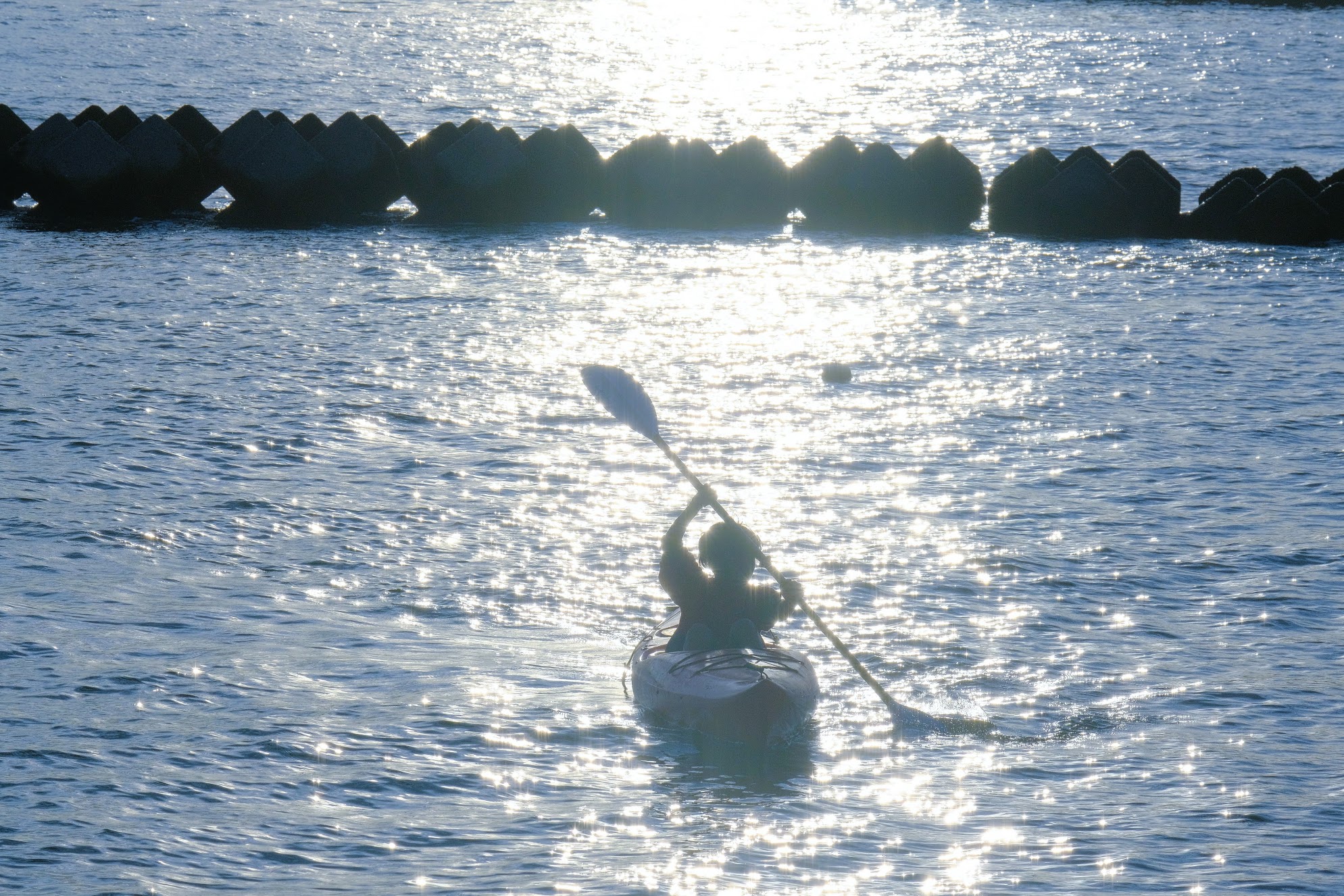 ネイチャーガイドと海遊び（釣り・シーカヤック）