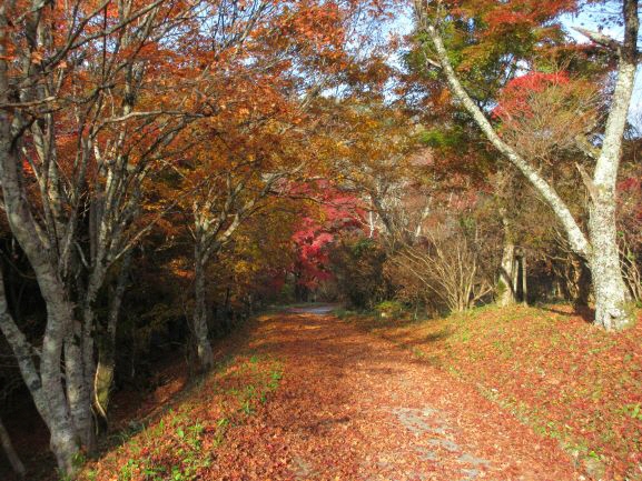 帰りの道の紅葉