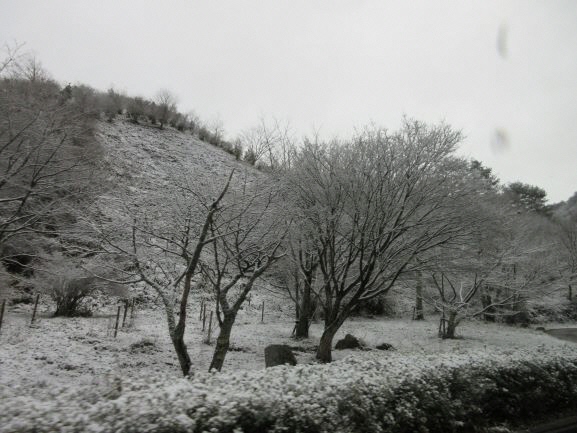 雪の滝山公園2