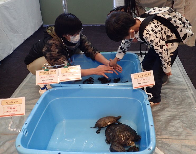 ザリガニとのふれあい