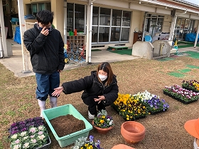 植え方説明