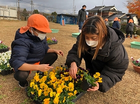 寄せ植え3