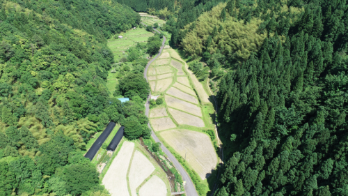 本谷工区　写真　施行前