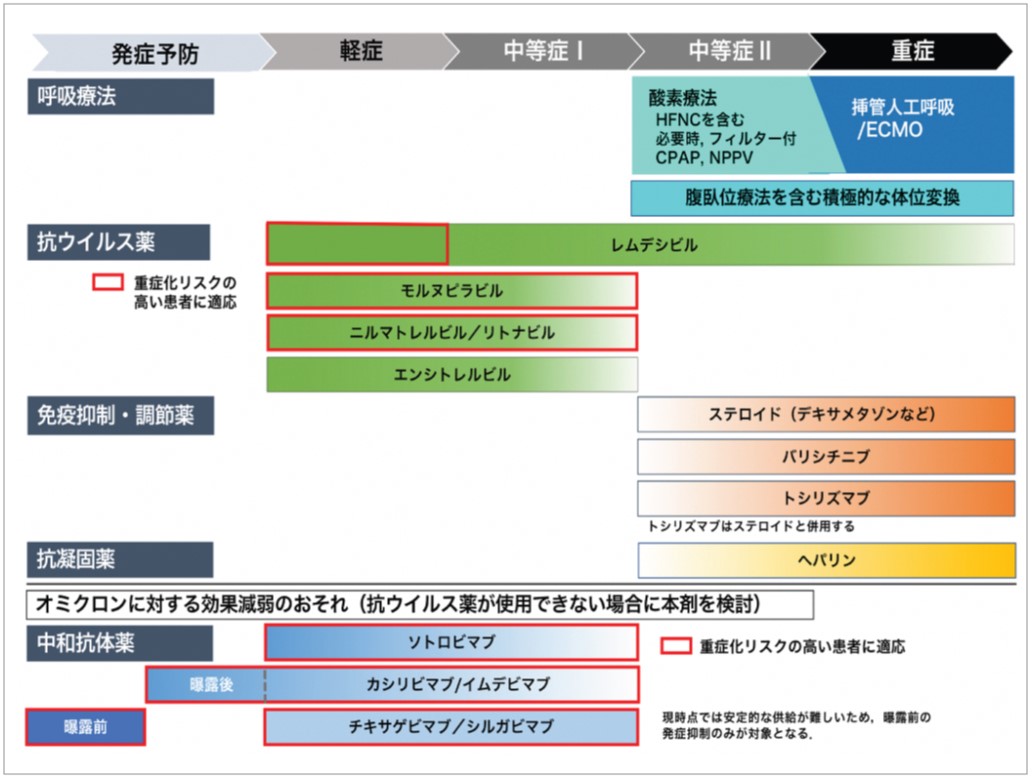 治療薬の概要