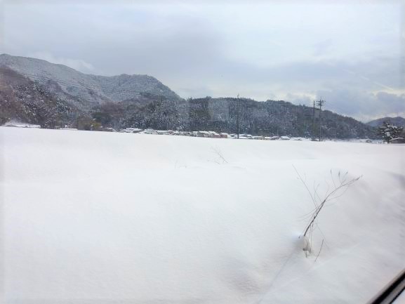 伯耆町の畑　雪一面