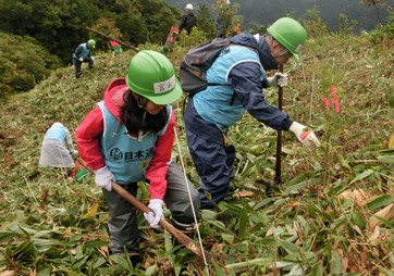 雨が降り出す前に植えねば！