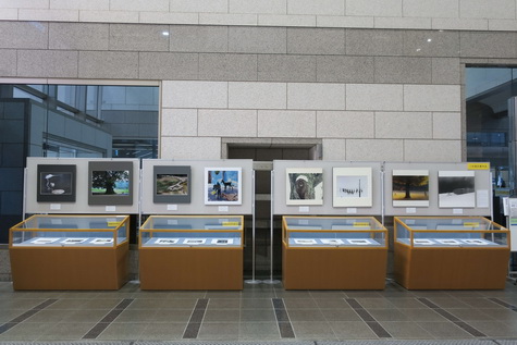 共通通路の展示風景(二科展出品)