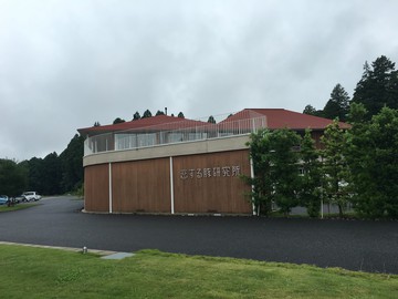 恋する豚研究所