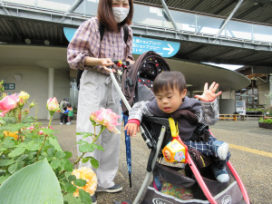 花を眺めている男の子