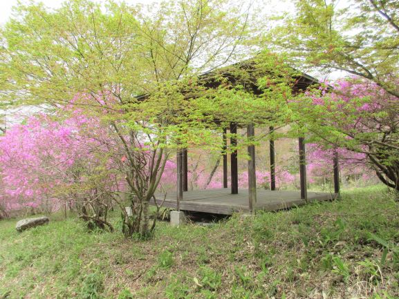 つつじの頃の滝山公園