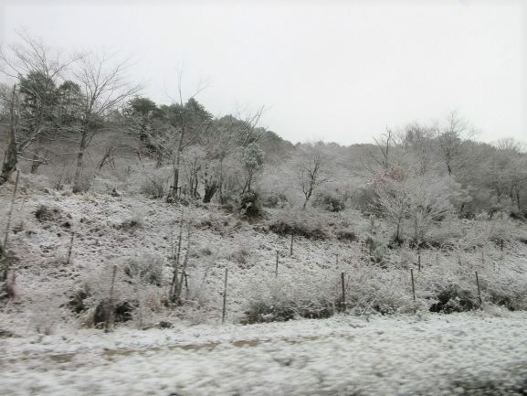 滝山公園