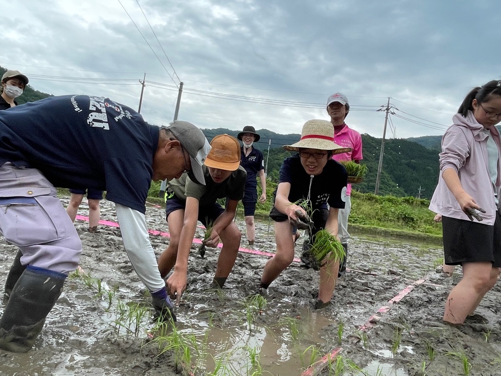 田植え