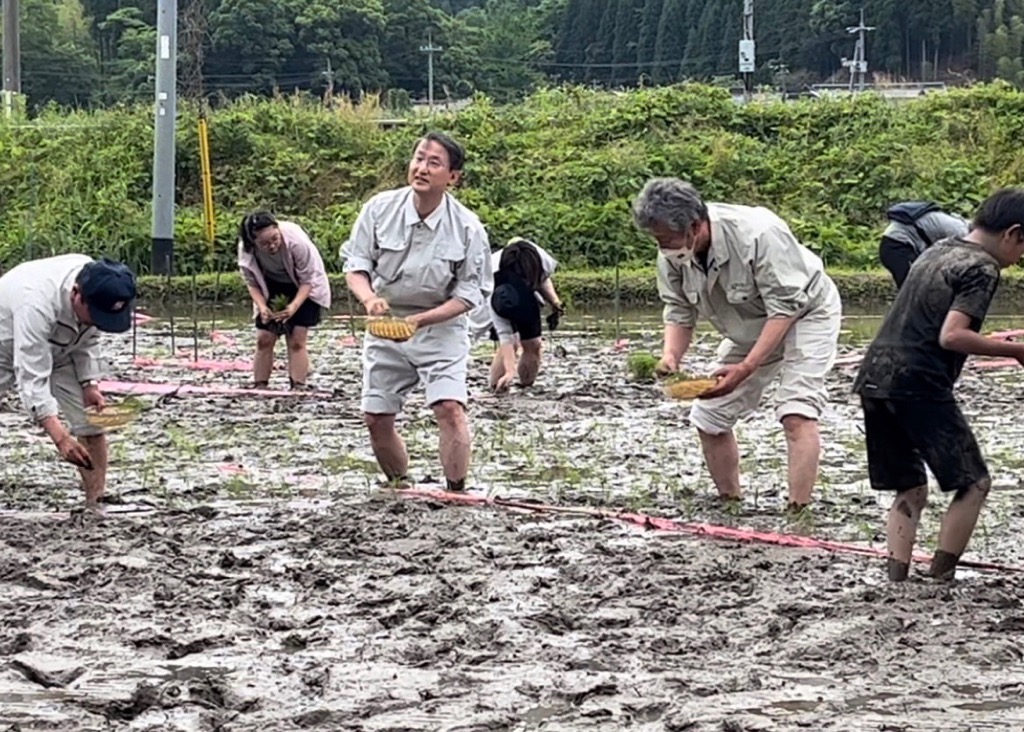 田植え